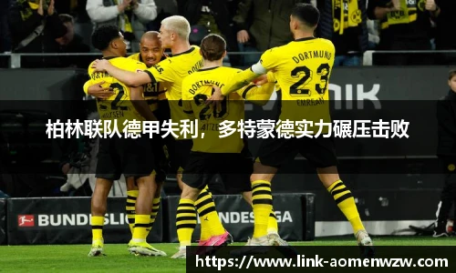 王中王资料大全